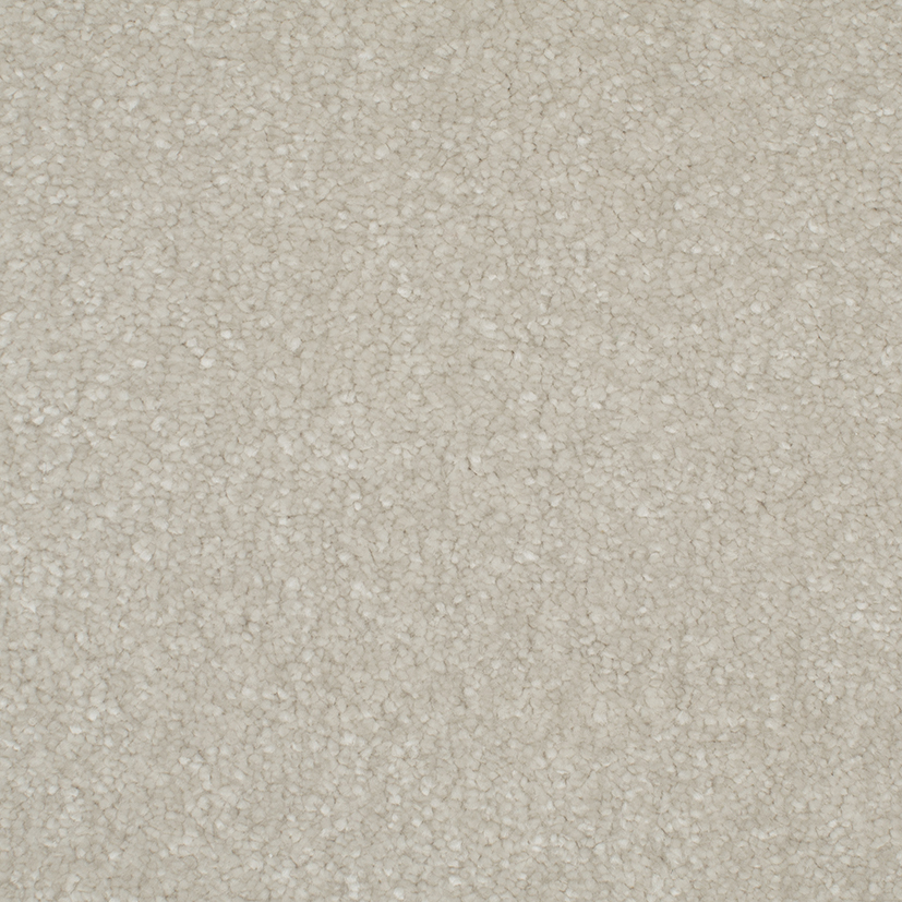 7005 Ivory