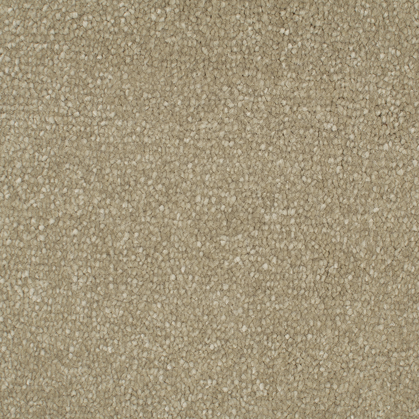 7008 champagne
