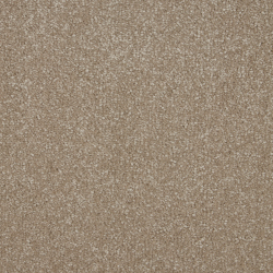 Sensation - Cambrian Stone