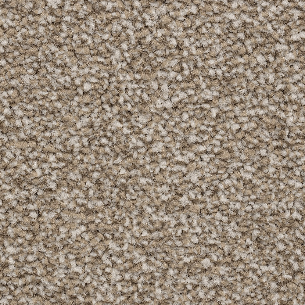 Freshwater Classic -Biscuit