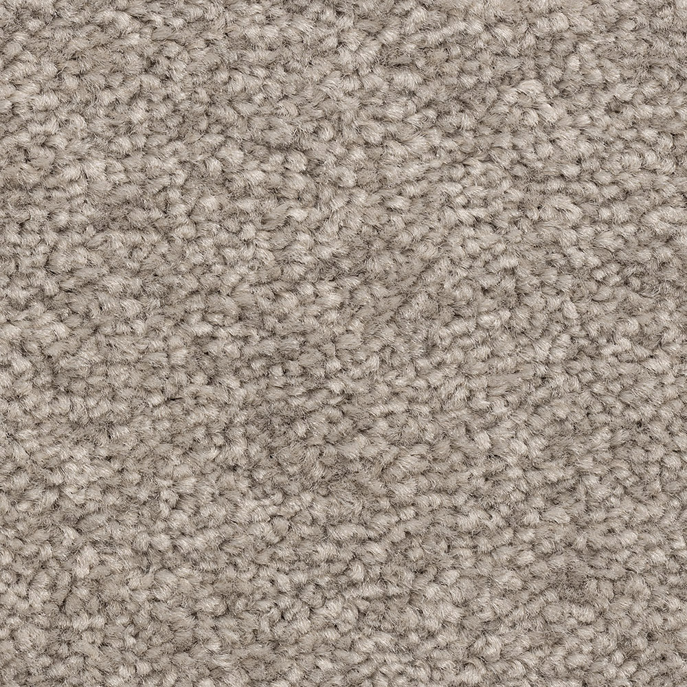 Freshwater Classic -Decor
