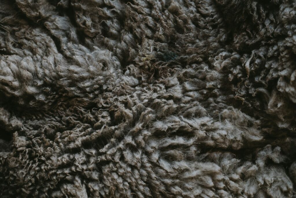 Close-up of a heather-flecked twist carpet