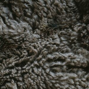 Close-up of a heather-flecked twist carpet