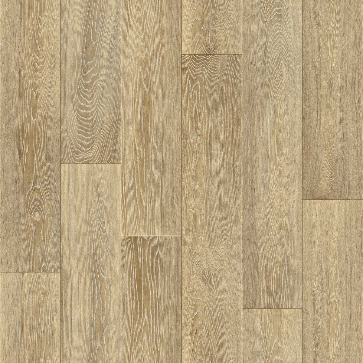 Titan - Pure Oak 160M