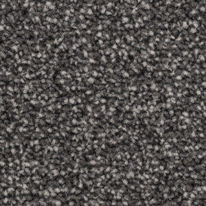 Freshwater Classic - Steel